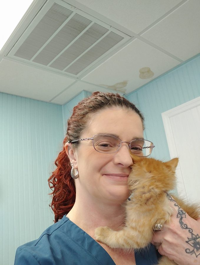 Lynne Ludwig holding an orange tabby kitten cheek to cheek — 20+ years of veterinary love in Tampa FL