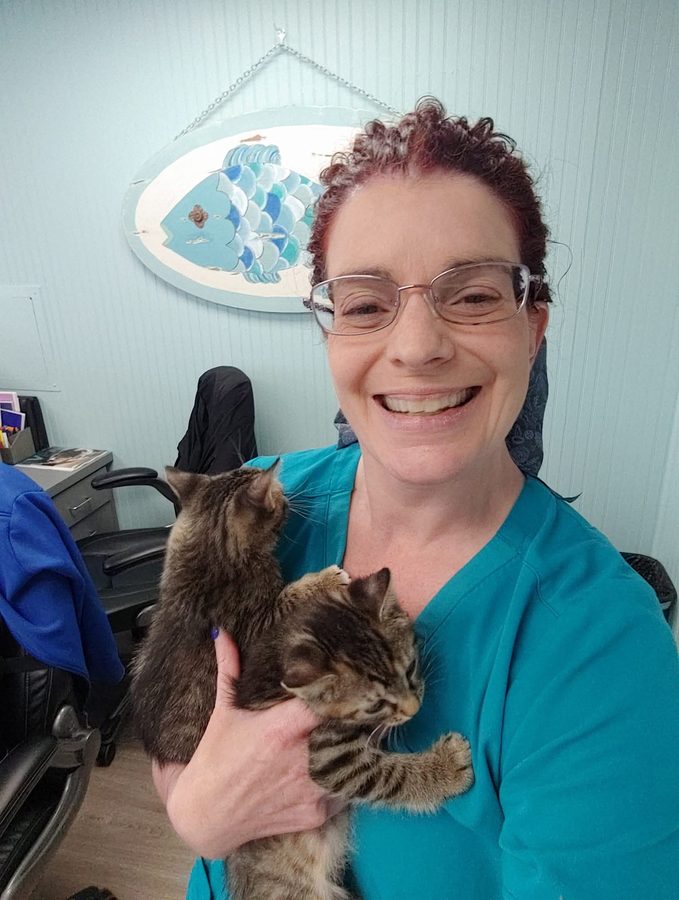 Lynne holding two tabby kittens in her veterinary clinic